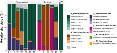 Microbiological insight into various underground gas storages in Vienna Basin focusing on methanogenic Archaea